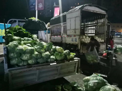 川祖庙农贸市场整体搬迁，京投果蔬农副产品批发市场引领忠县商贸流通业转型升级