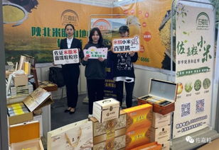佐嘉粒米脂小米携手2019一乡一品国际商品博览会，致力打造中国小米品牌商品批发贸易